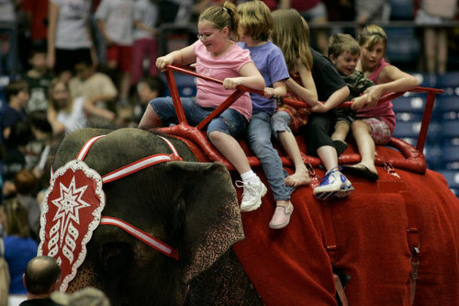 Antioch Shrine Circus at UD