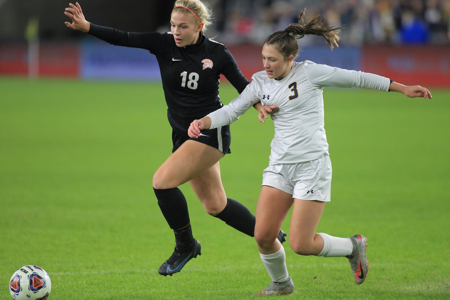 Waynesville wins state championship