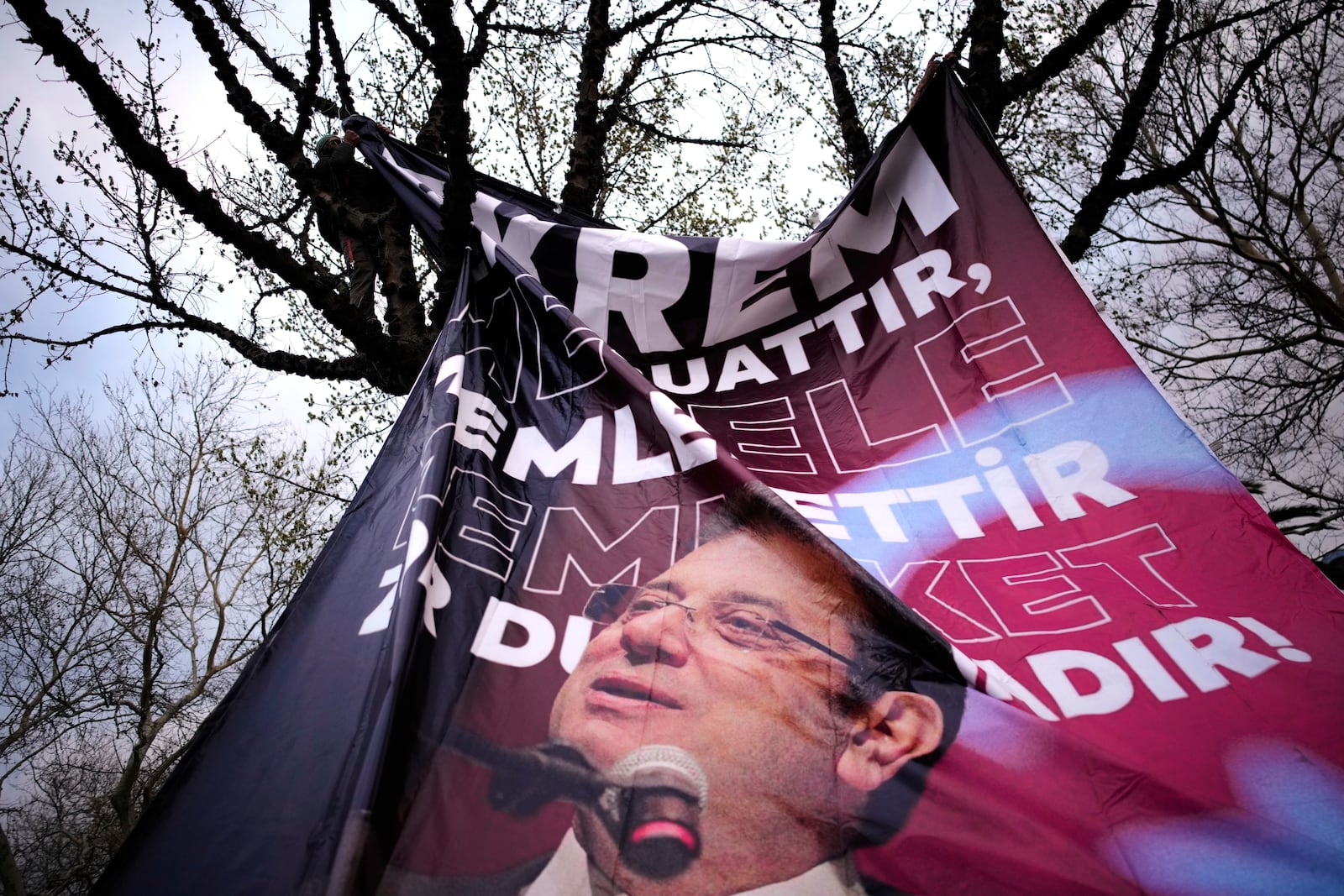 A man attaches a large banner of Istanbul's Mayor Ekrem Imamoglu in a tree in Istanbul, Turkey, Thursday, March 20, 2025, during a protest against the arrest of Imamoglu. (AP Photo/Emrah Gurel)