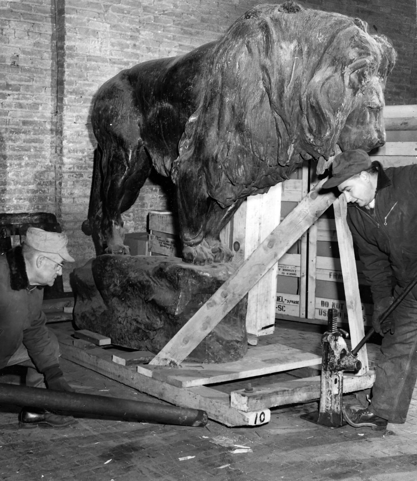 Leo the Lion, commissioned for Steele High School and unveiled in 1908, was relocated to the Dayton Art Institute in 1955. DAYTON DAILY NEWS ARCHIVE