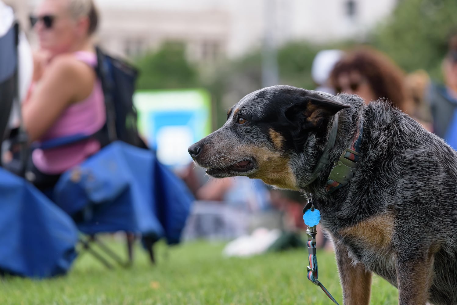 PHOTOS: The Vindys with The Hathaways live at Levitt Pavilion