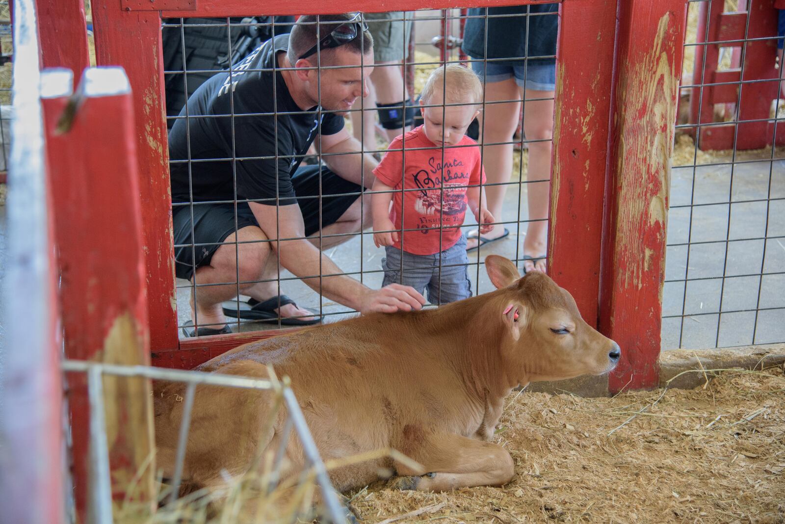 Young’s Jersey Dairy hosts an annual celebration each Memorial Day. Guests spent the days enjoying ice cream, miniature golf, the driving range, batting cages, slides and carnival rides. PHOTO / TOM GILLIAM PHOTOGRAPHY