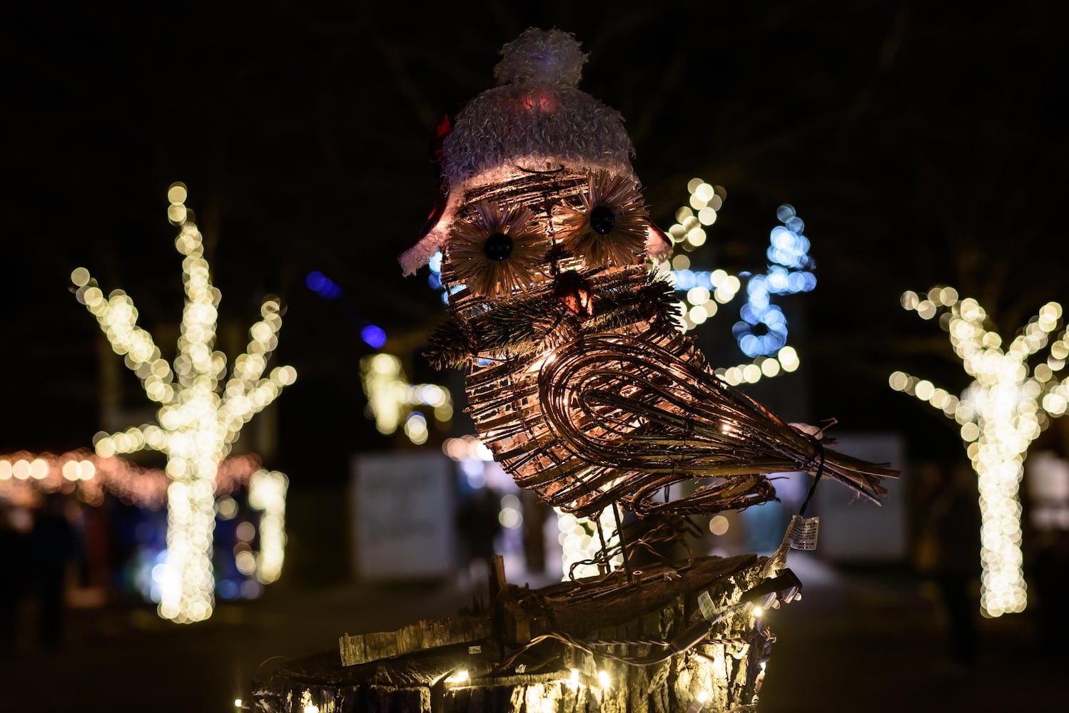 PHOTOS: Yuletide Village: Season of Lights at Renaissance Park Event Center