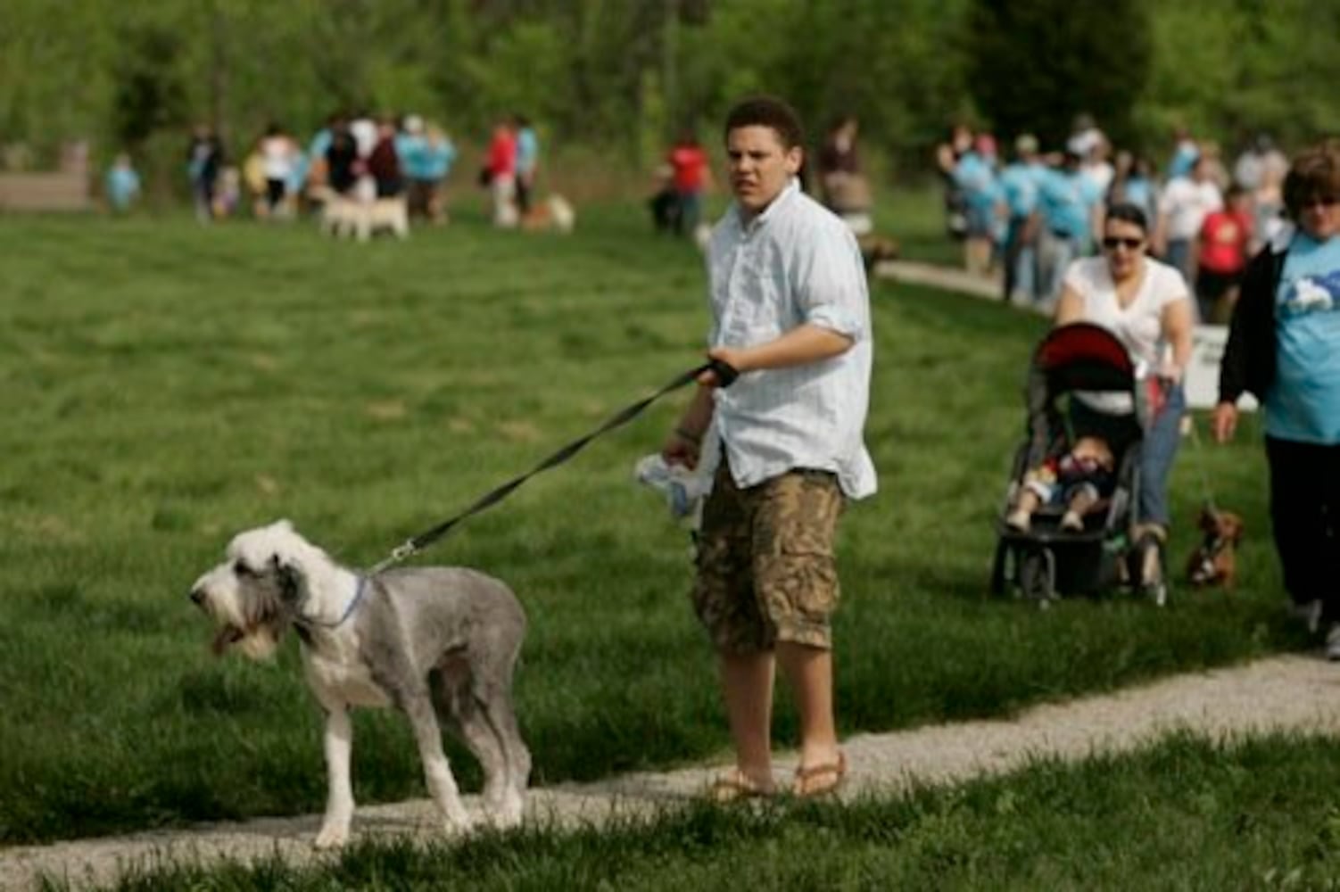 Furry Scurry walk