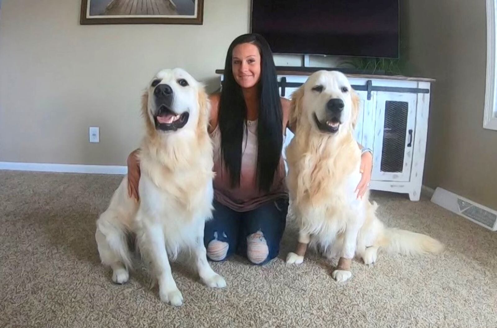 Alicia Dixon, owner of two Golden Retrievers and two Landseer Newfoundlands, posts videos of her dogs three to four times a week on social media.