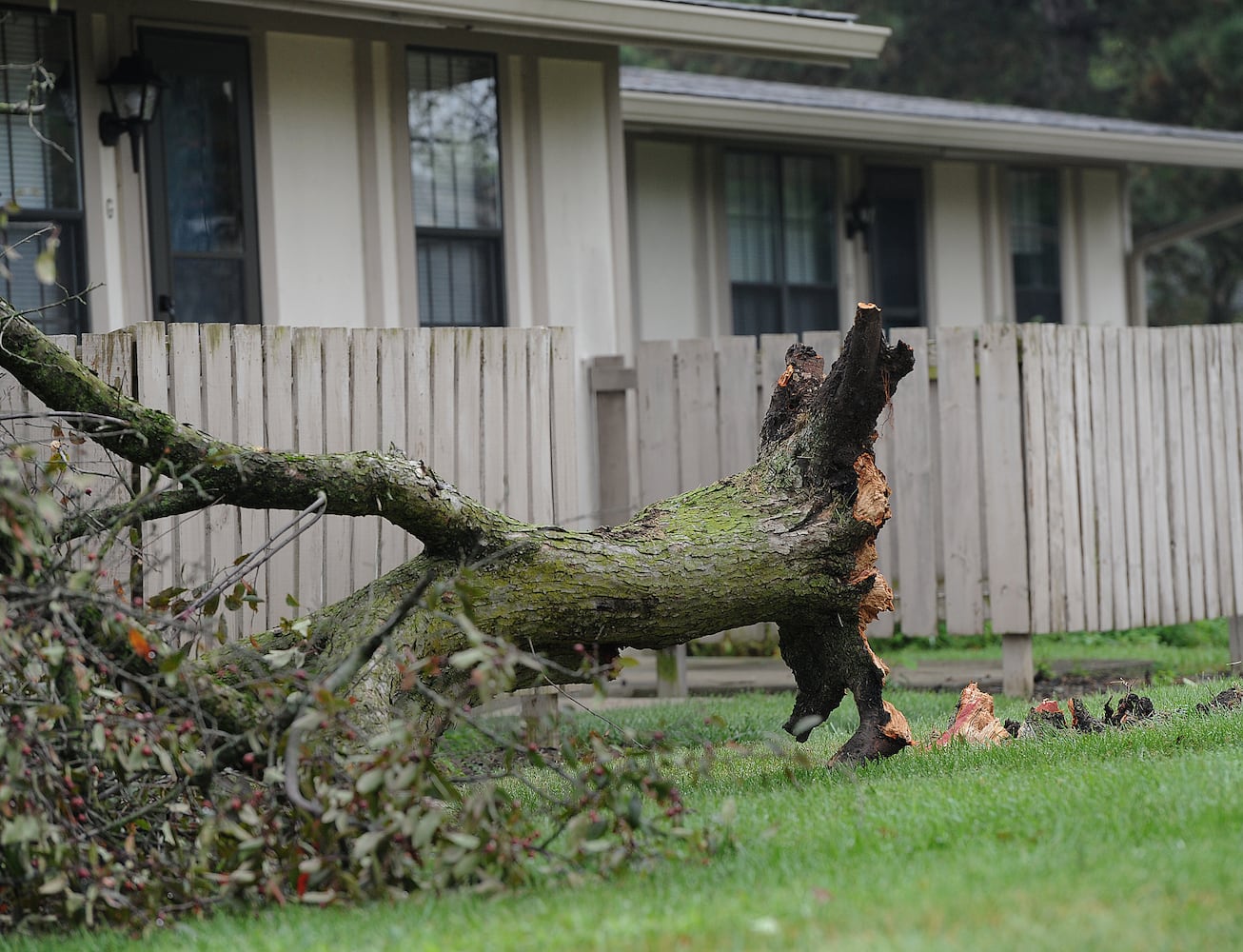 Storm damage