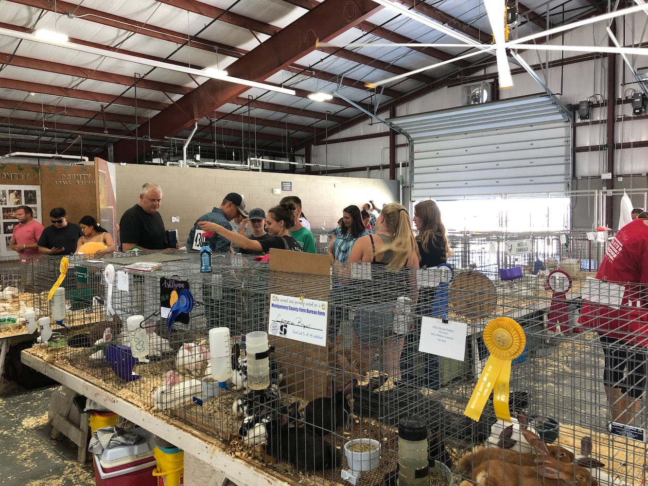 Scenes from the Montgomery County Fair