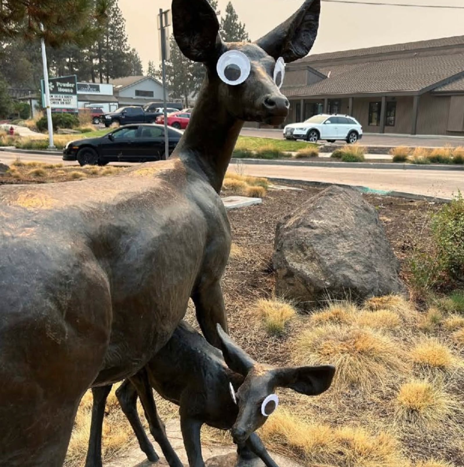 This image provided by the City of Bend, Oregon, shows a a set of googly eyes placed on a public art sculpture in Bend, Ore. (City of Bend, Oregon, via AP)