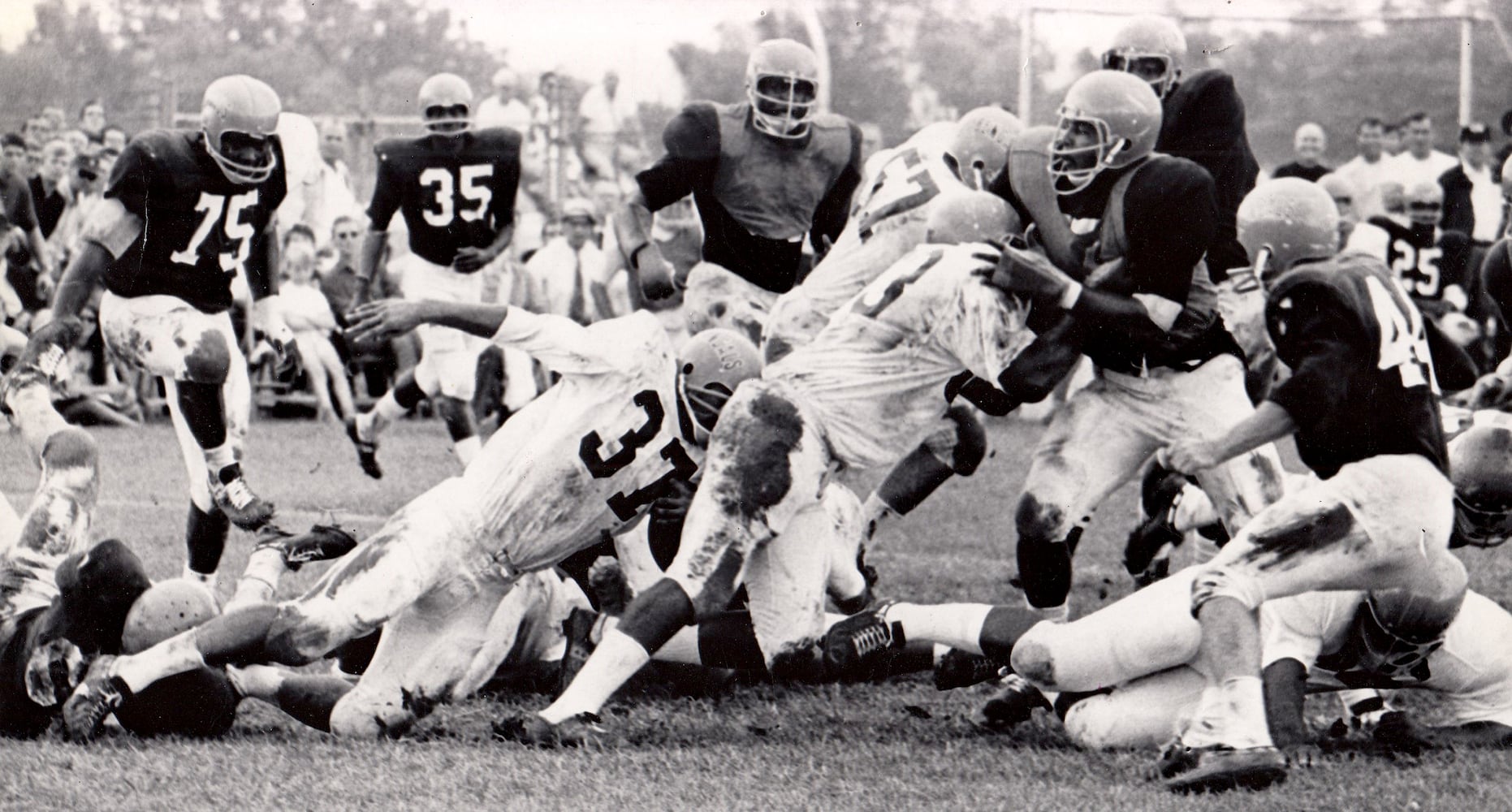 Bengals took the field 50 years ago