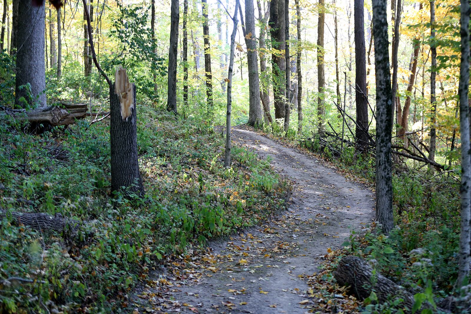 
Five Rivers MetroParks has constructed miles of new trails at Germantown MetroPark. The additional mileage snakes through prairie, mature woodlands and wetlands.  LISA POWELL / STAFF