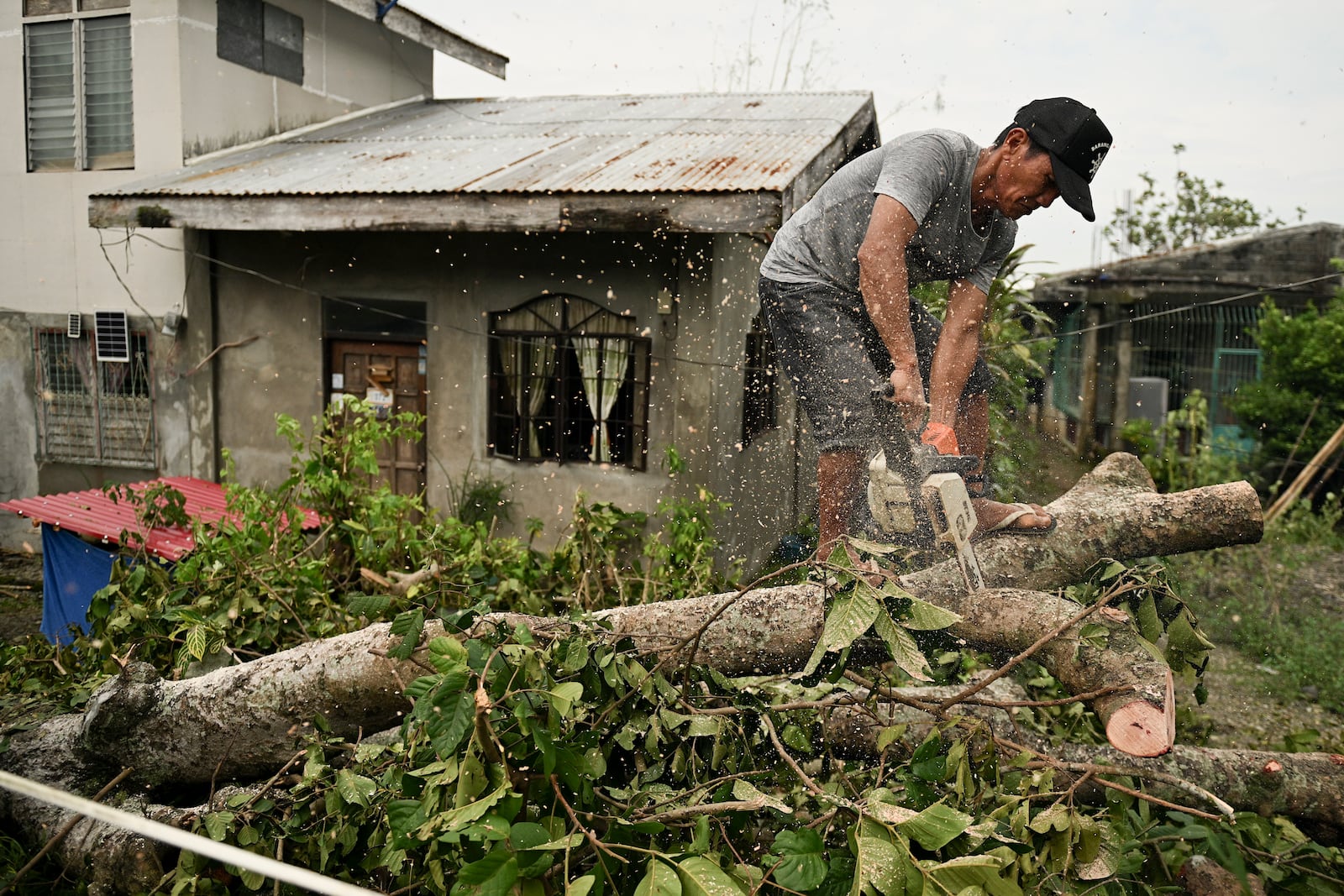 A man tries to clear a tree in front of his house after it was toppled by strong winds from Typhoon Yinxing, locally called Marce, in Gattaran, Cagayan province, northern Philippines on Friday, Nov. 8, 2024. (AP Photo/Noel Celis)