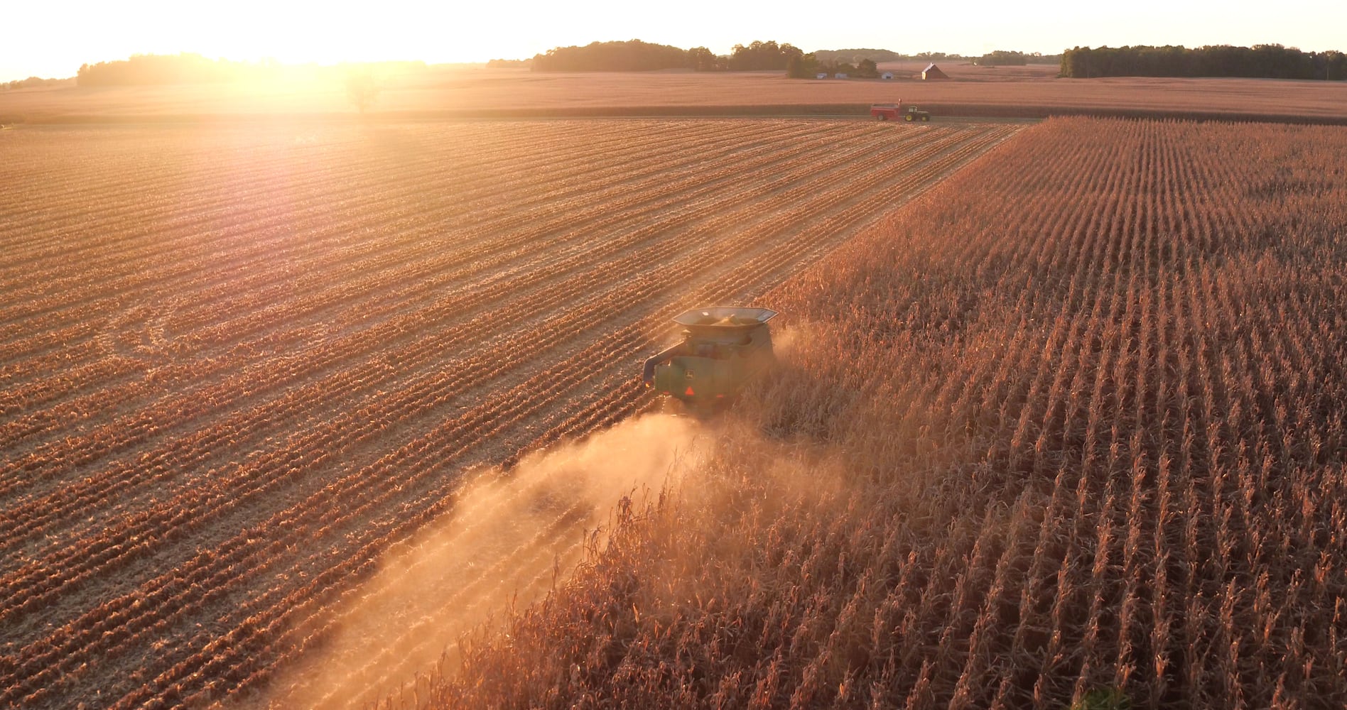 Ohio farmers face tough decisions amid trade war crossfire