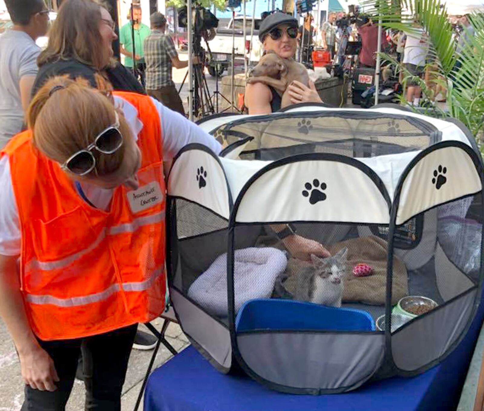 The Humane Society of Greater Dayton took a puppy and kitten to the Oregon District Monday to offer pet therapy in the aftermath of the Sunday shootings. HUMANE SOCIETY OF GREATER DAYTON