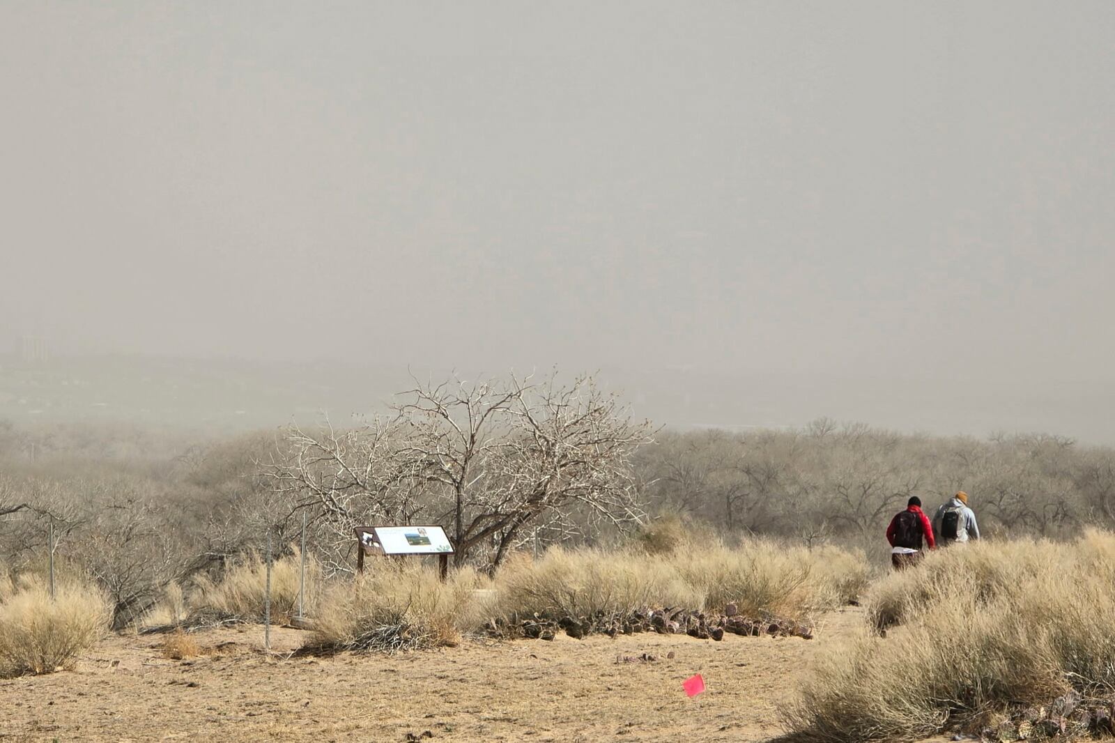 Dust fills the sky in Albuquerque, N.M., Tuesday, March 18, 2025. (AP Photo/Felicia Fonseca)