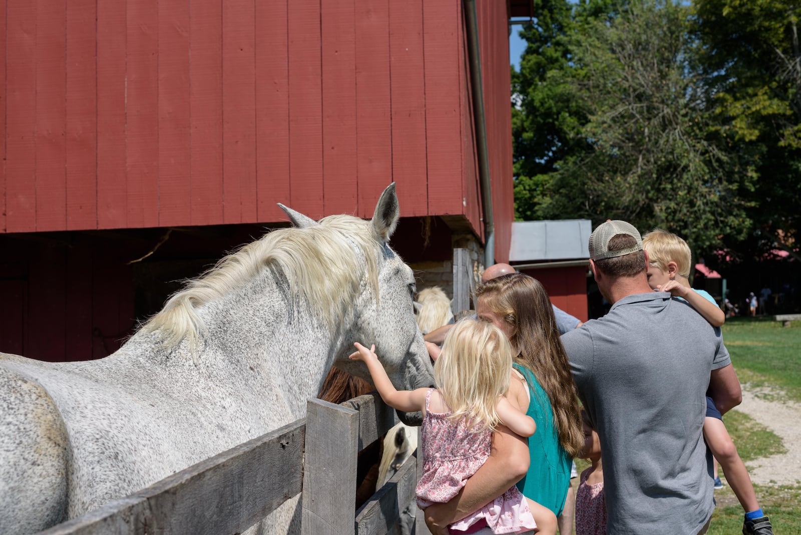 Five Rivers MetroParks hosted its first ever Small Farm & Food Fest on Saturday, July 27, at Carriage Hill MetroPark. The food-focused event was free for all ages and featured dozens of hands-on activities, a pop-up farmers market, demonstrations, speakers and other activities that helped to promote healthy eating and sustainable living. TOM GILLIAM / CONTRIBUTING PHOTOGRAPHER