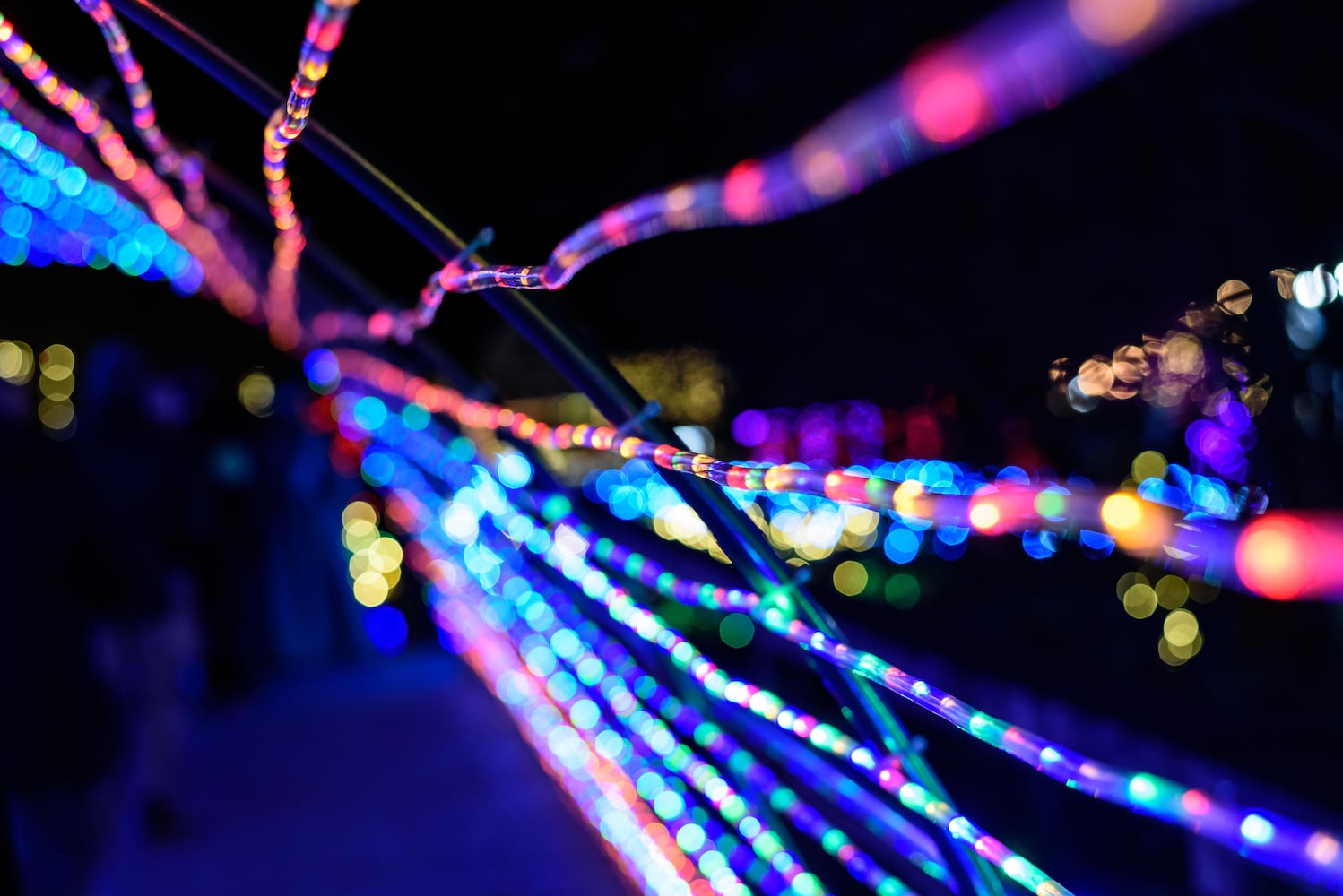 PHOTOS: Yuletide Village: Season of Lights at Renaissance Park Event Center