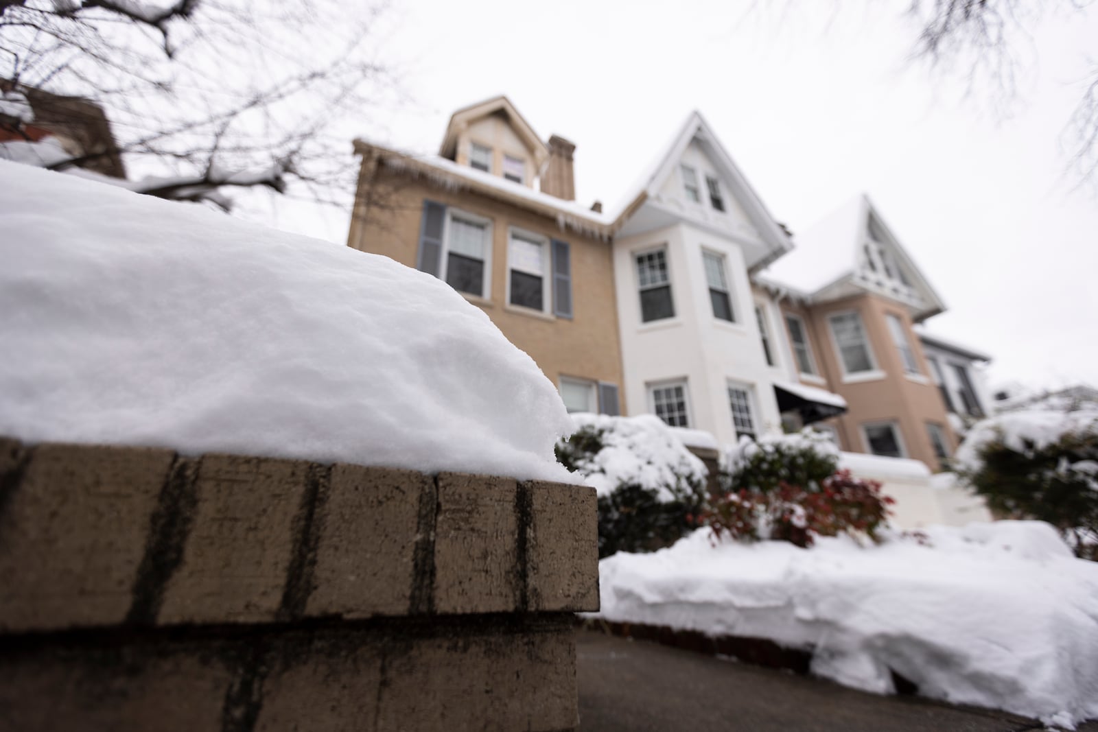 Snow covers the ground in Norfolk, Va on Thursday, Feb. 20, 2025. (Billy Schuerman /The Virginian-Pilot via AP)