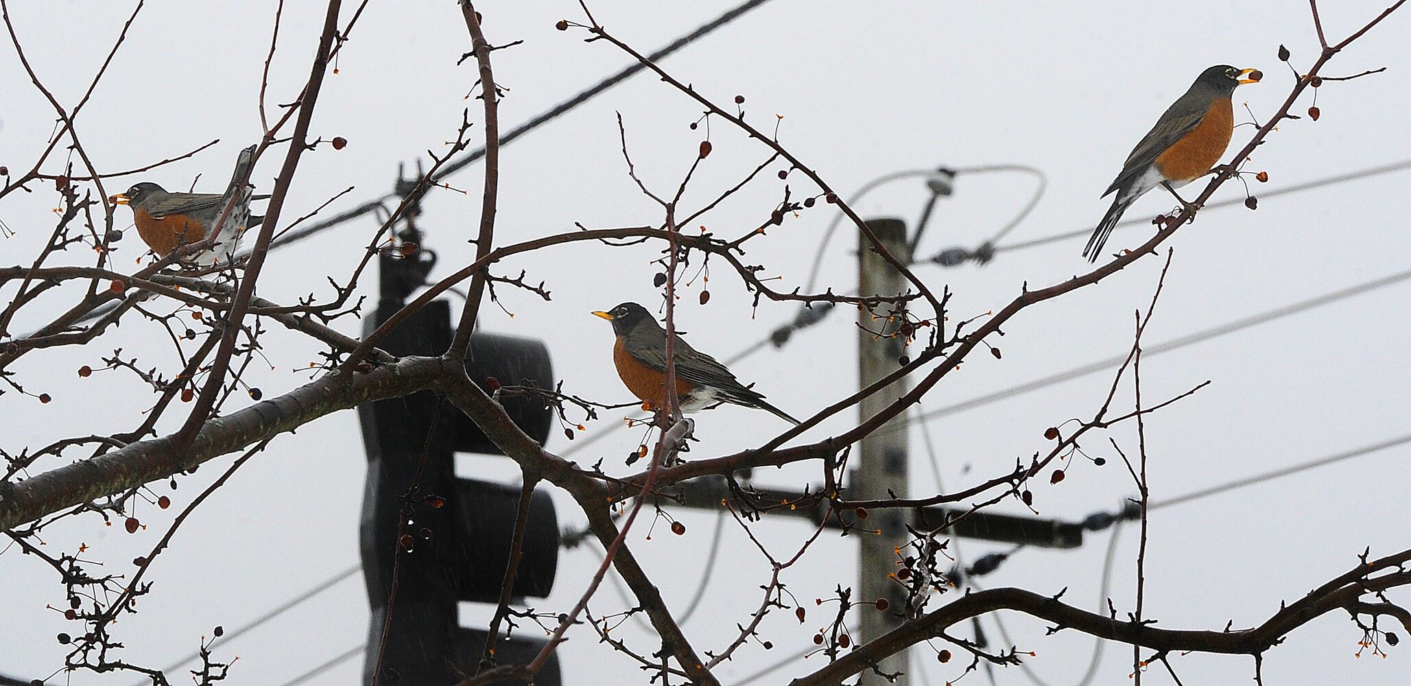 First snowfall blankets the region Monday morning