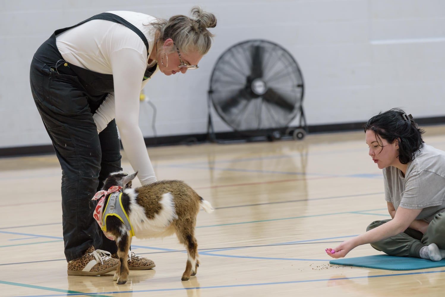 PHOTOS: Sweetheart Goat Yoga at Vandalia Recreation Center