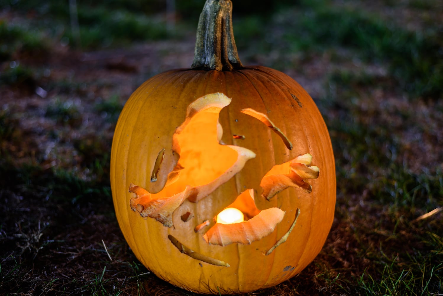 PHOTOS: The 30th annual Stoddard Avenue Pumpkin Glow