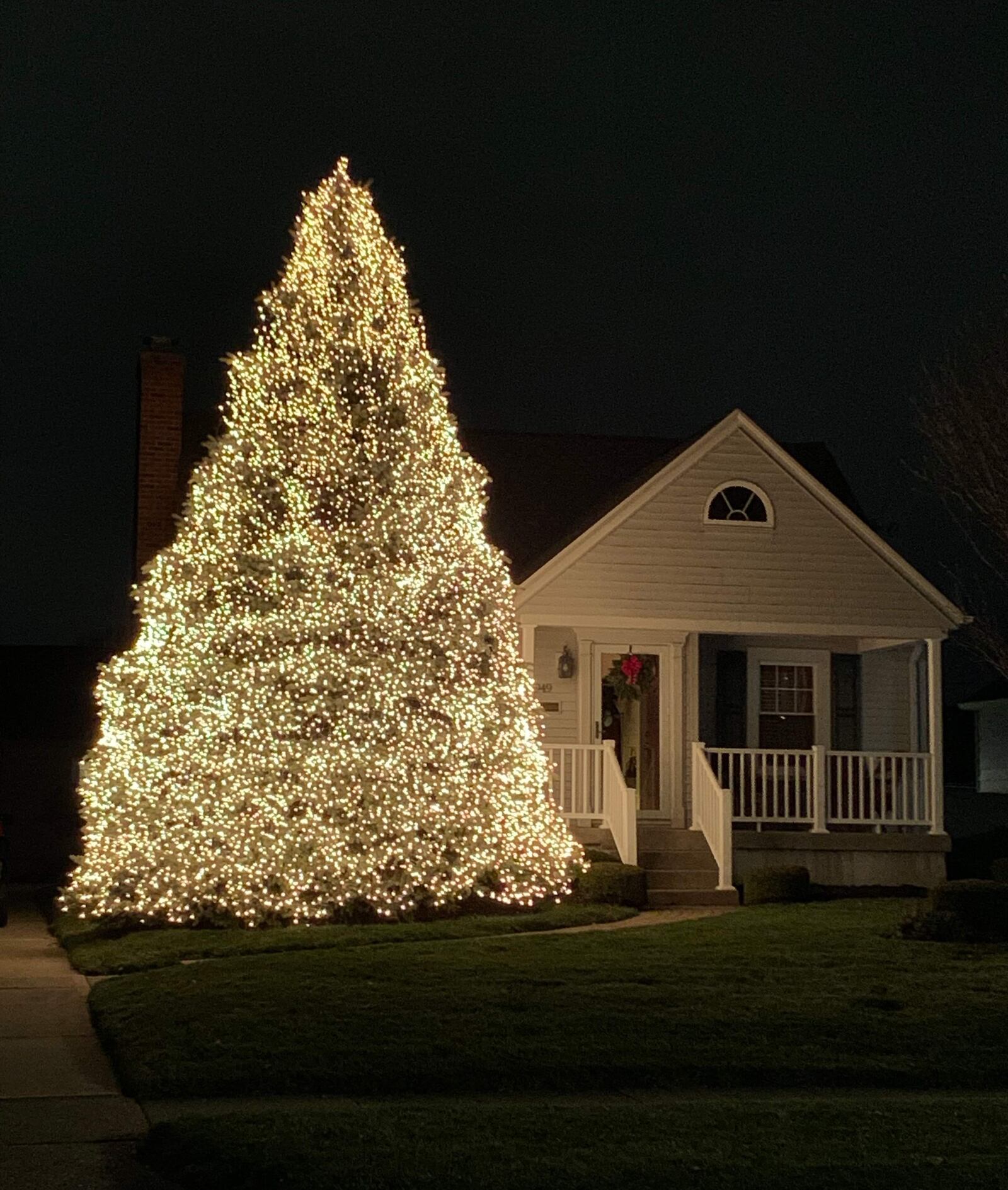 This Christmas tree in Dayton's Belmont neighborhood, which is adorned with thousands of white lights, takes about 15 hours to decorate each year. CONTRIBUTED