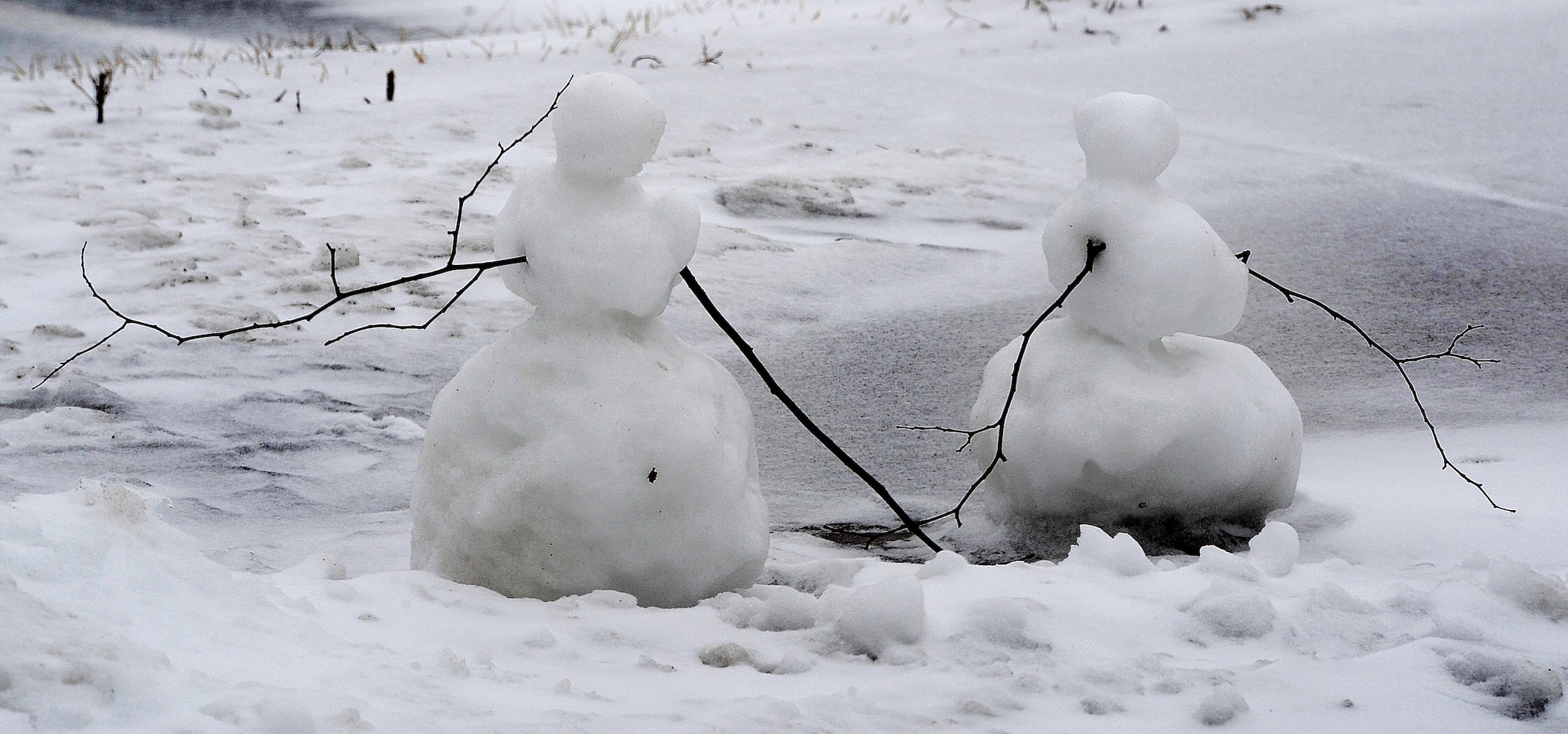 First snowfall blankets the region Monday morning