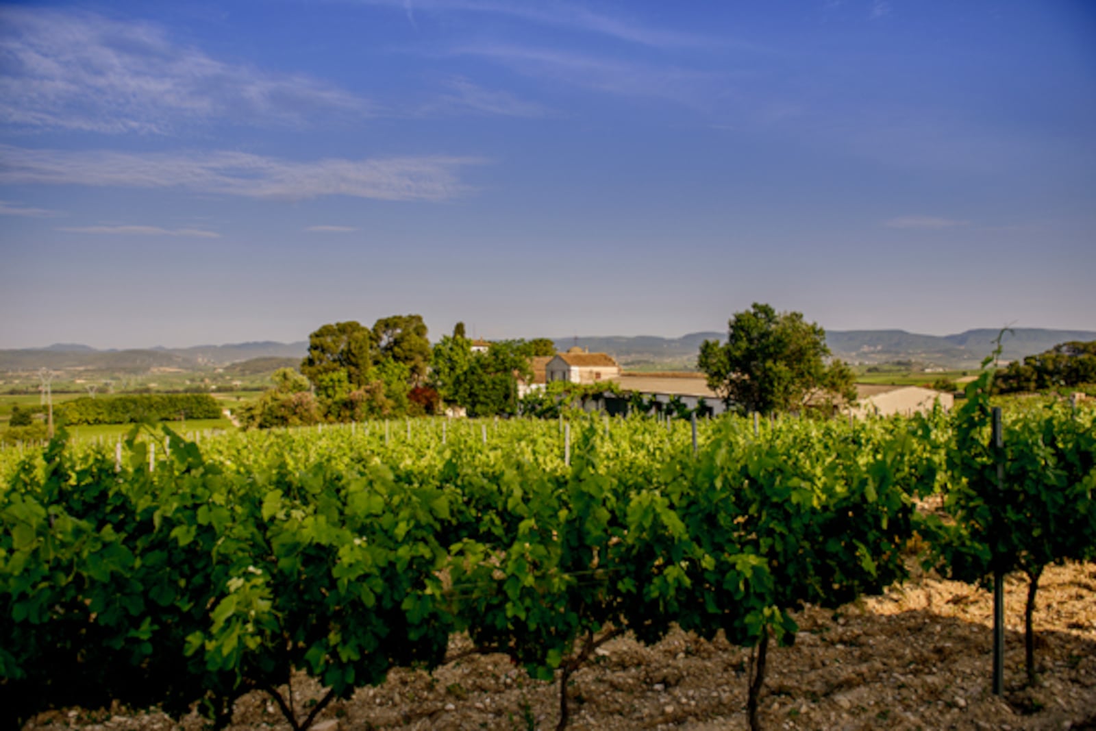 Parés Baltà is a winery located in Penedès, Spain (CONTRIBUTED PHOTO).