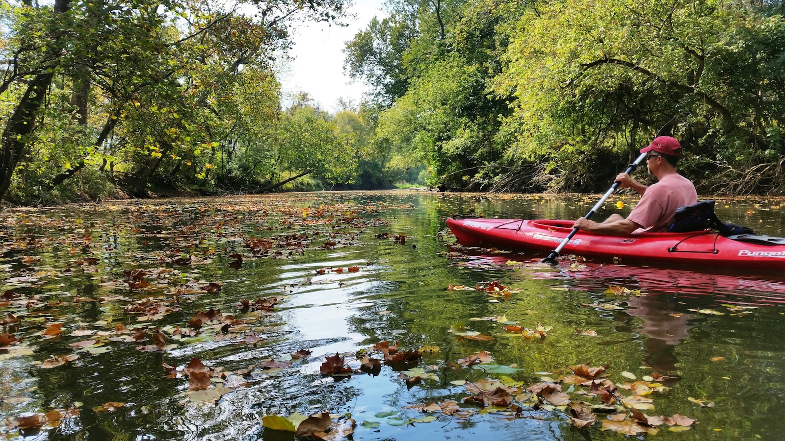 Rhett Rohrer paddles on the Little Miami near Beavercreek in warmer weather.  Photo provided by the Little Miami Conservancy