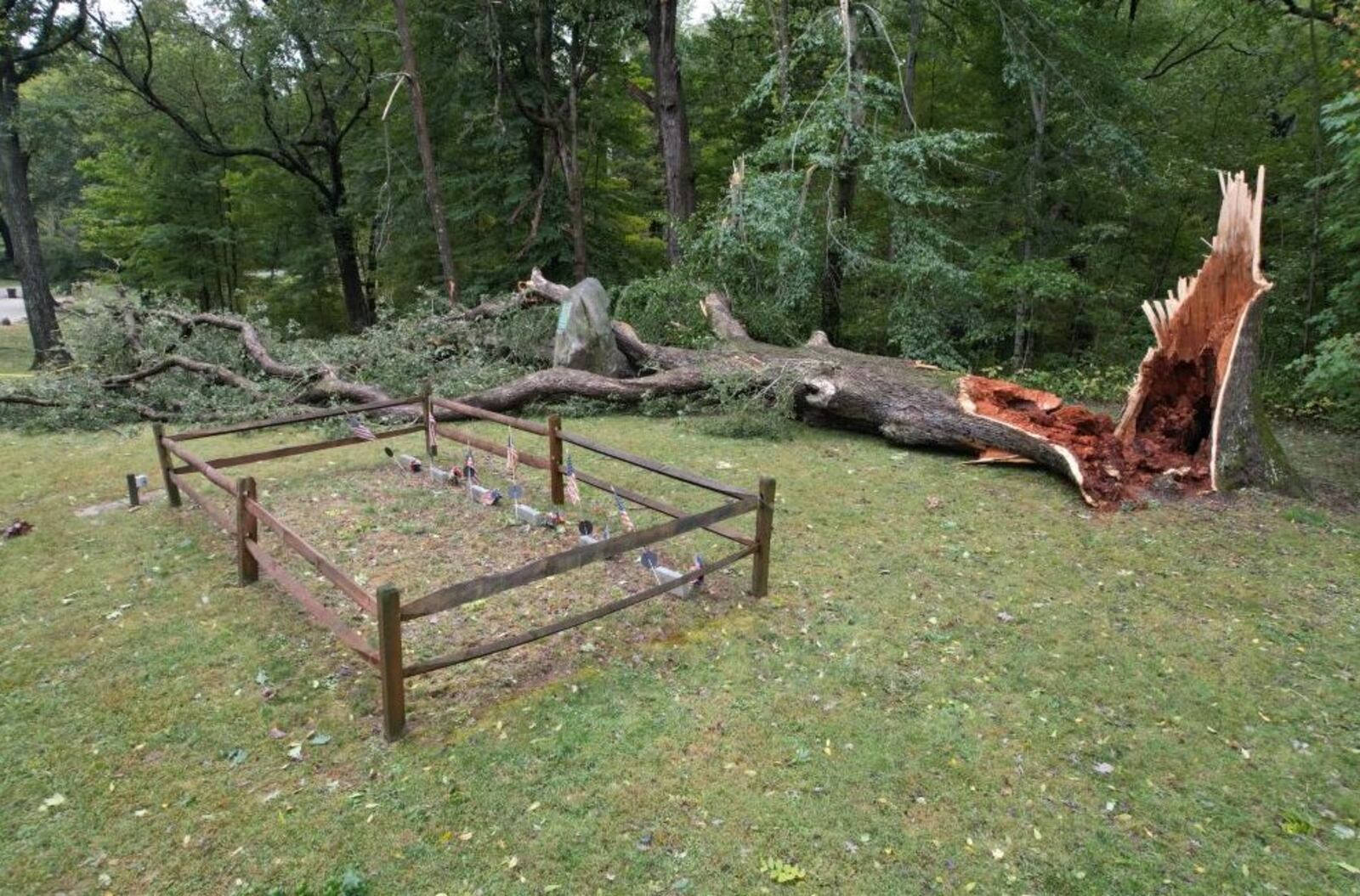 Zack Wilson, an Eaton park supervisor, said the tree called “The Whispering Oak” split into two and fell in Fort St. Clair Park near gravesites of six men who died in the battle that occurred at Fort. St. Clair on Nov. 6, 1792.