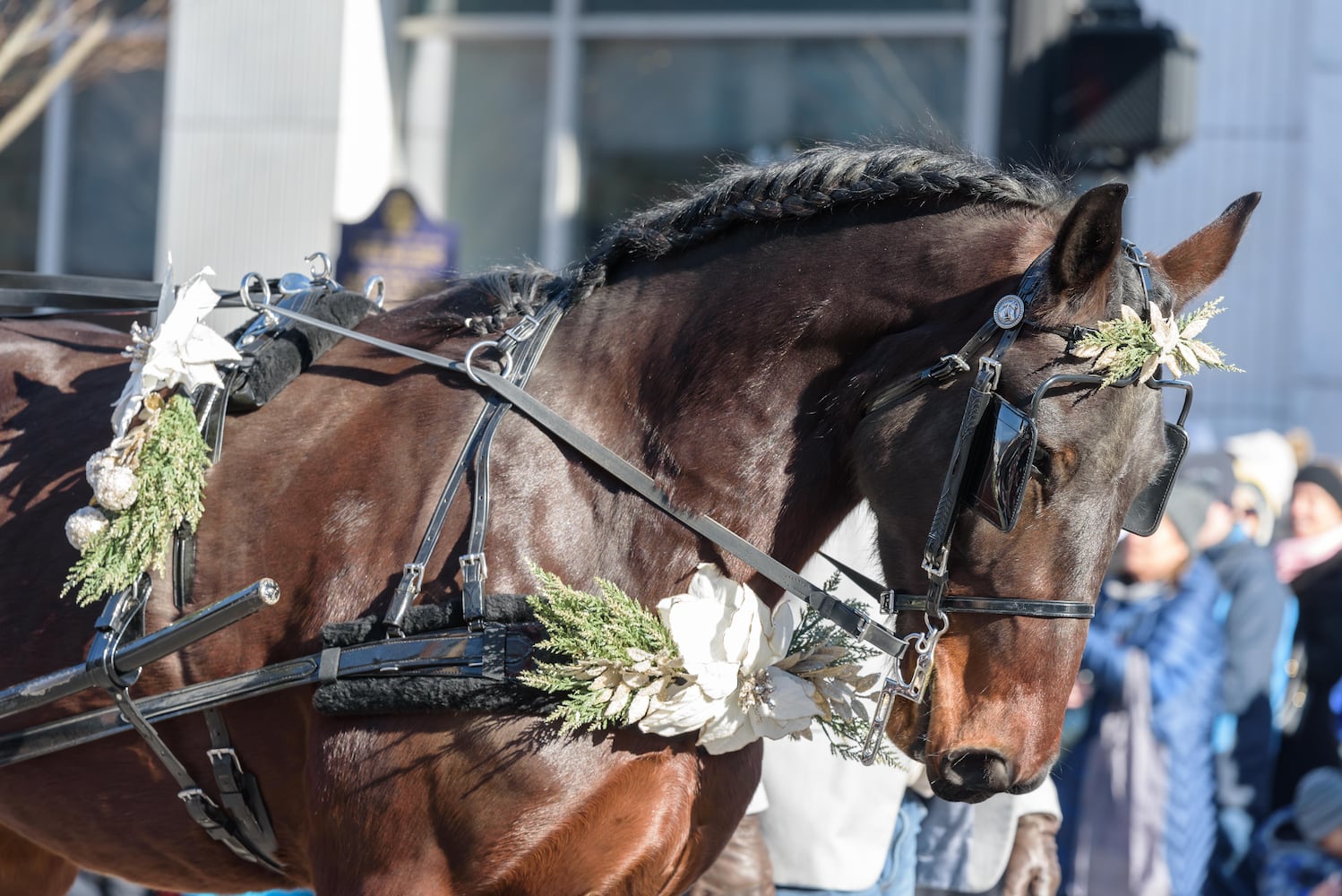 PHOTOS: 35th annual Lebanon Horse-Drawn Carriage Parade & Festival