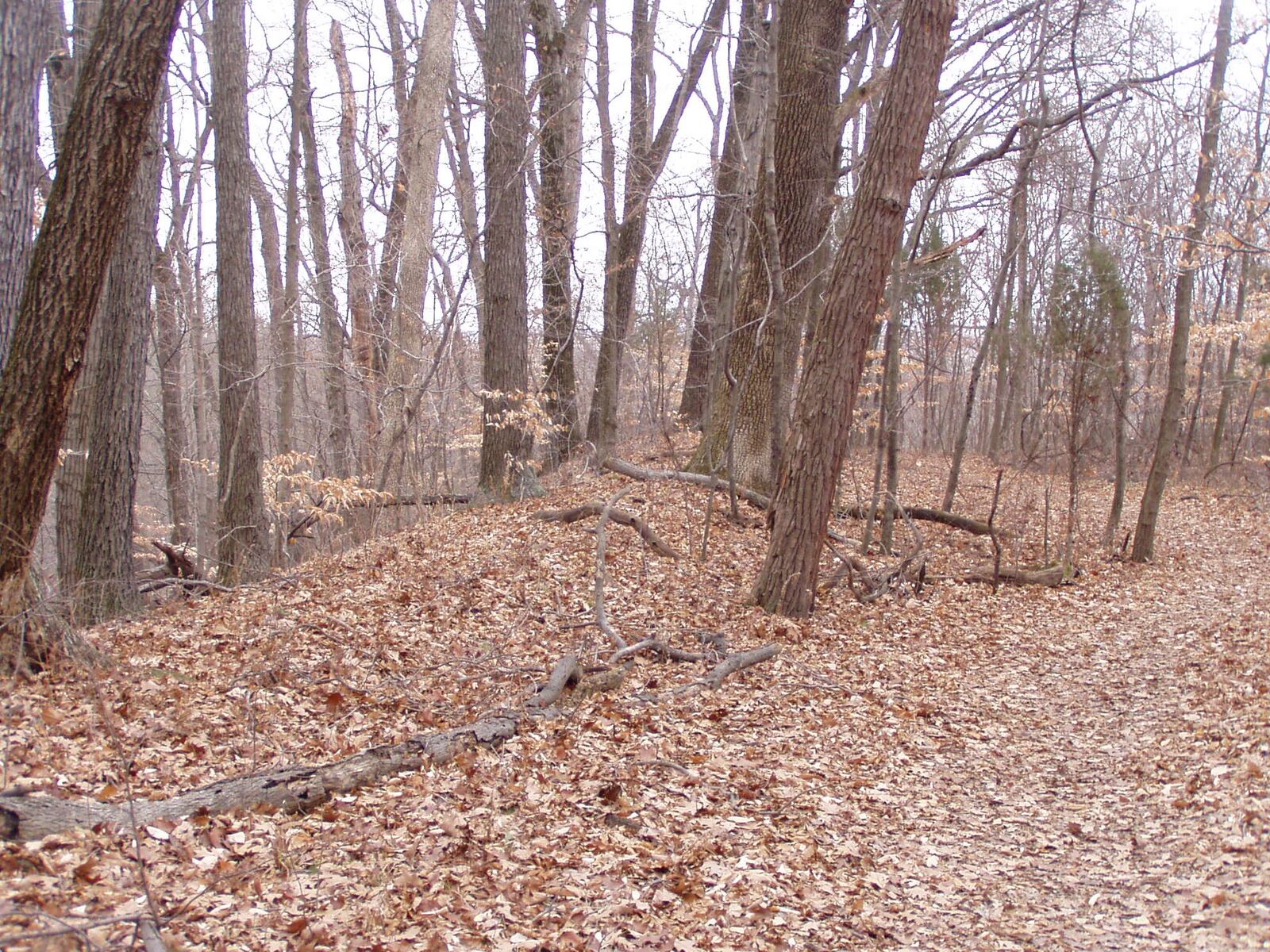 Twin Creek MetroPark contains a prehistoric Native American hilltop mound, Carlisle Fort, built approximately 2,000 years ago.