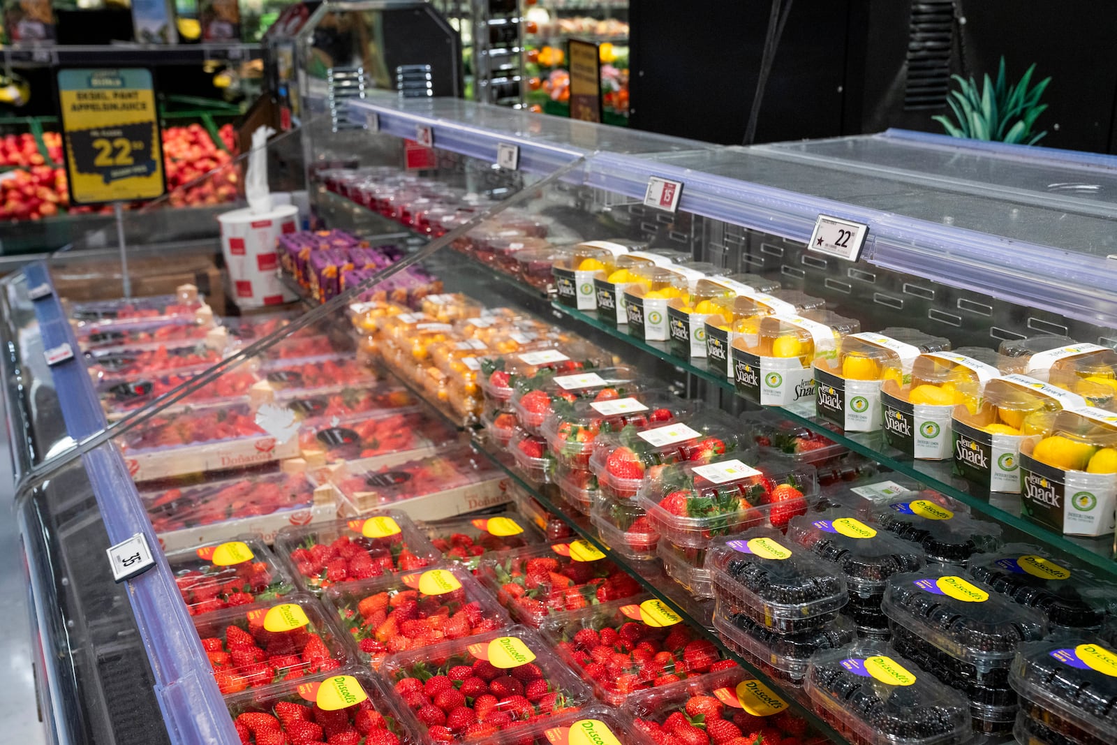 Fruit with and without the star-mark in Bilka in Randers, Denmark, making it easier for customers to buy European goods, Monday, March 17, 2025. (Bo Amstrup/Ritzau Scanpix via AP)