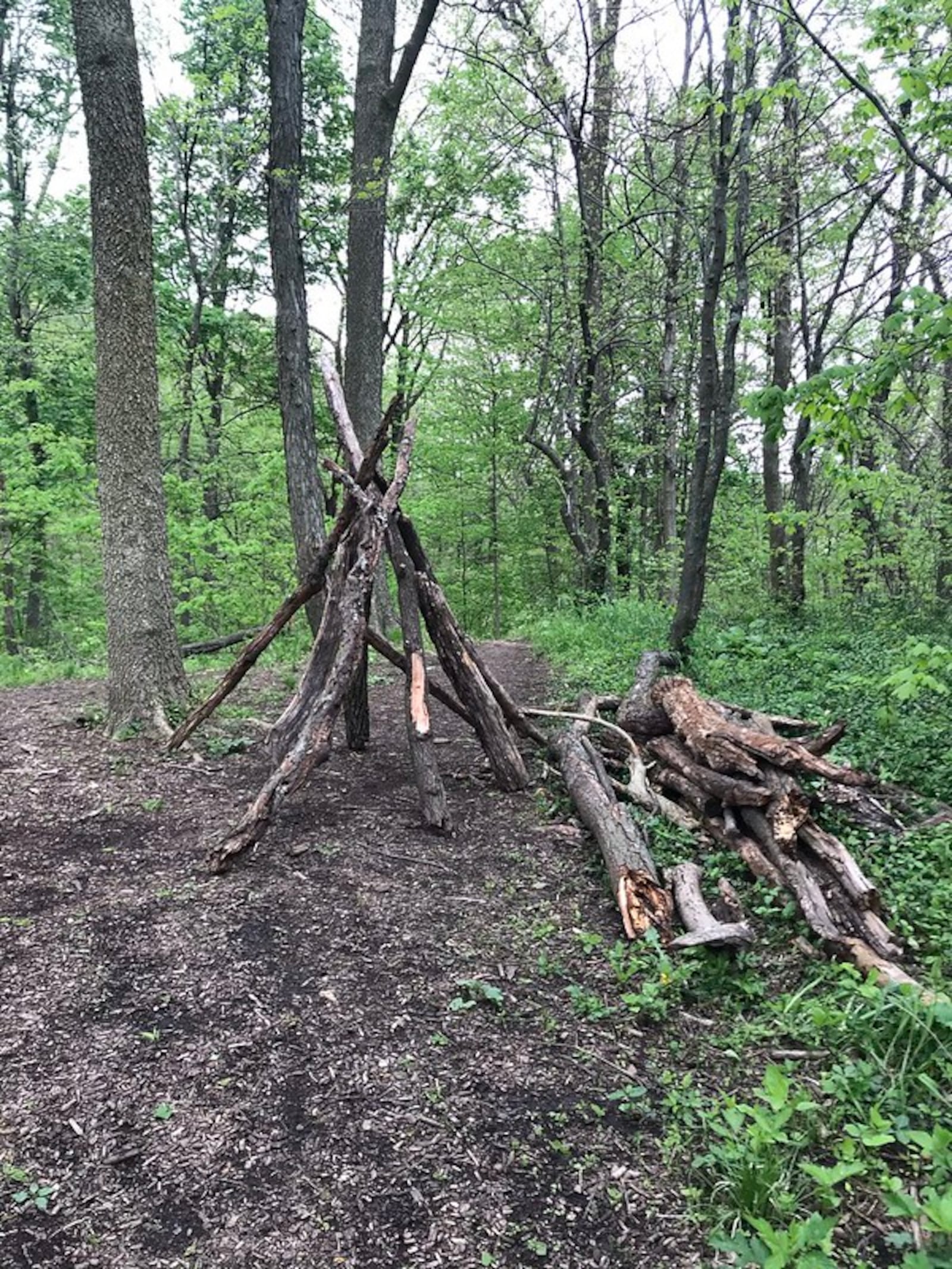 Children can enjoy nature play at home as well as local parks. PHOTO BY KAREN ALLEN