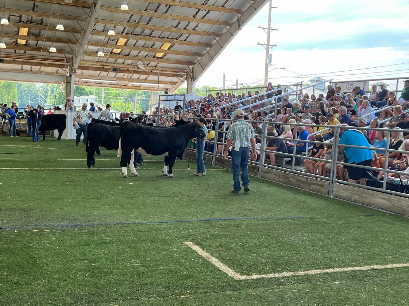 Warren County Fair 2024