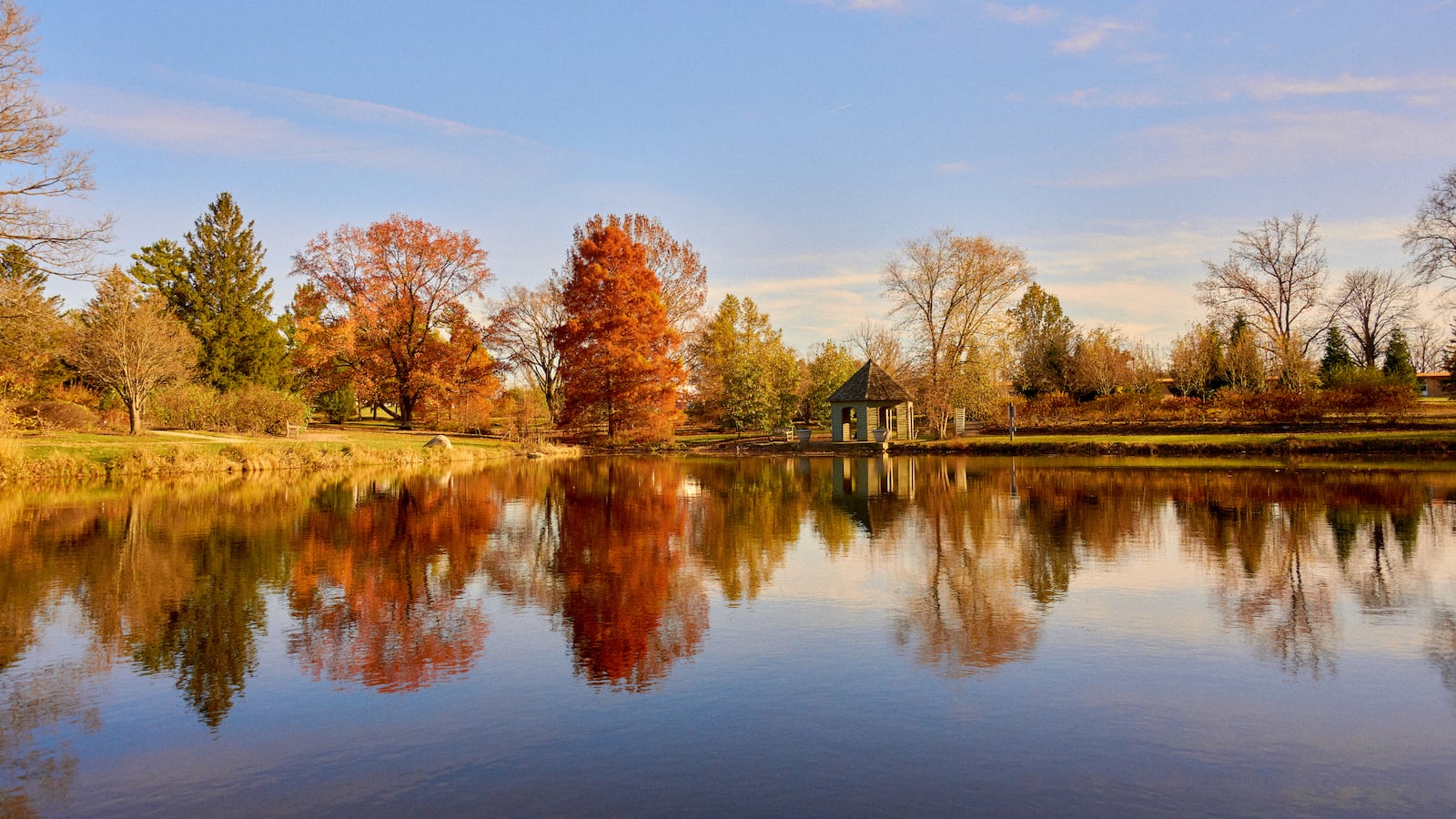 Heading into the woods will likely increase your chances of finding the best fall color - CONTRIBUTED