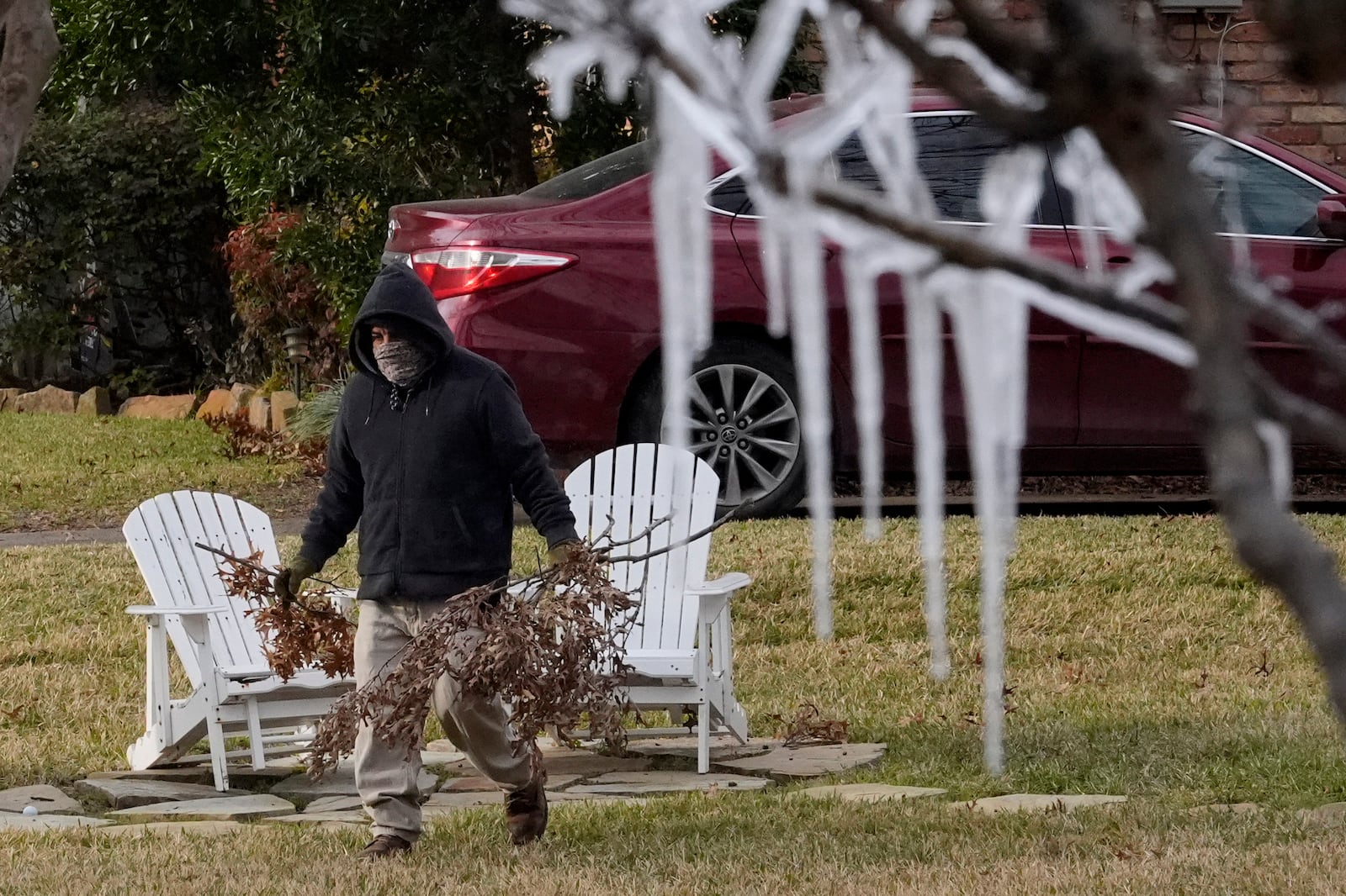 Samuel Sotelo moves branches as cold temperatures and a lawn sprinkler create icicle on a tree ahead of a winter storm expected to hit the North Texas region later tomorrow Wednesday, Jan. 8, 2025, in Richardson, Texas. (AP Photo/LM Otero)