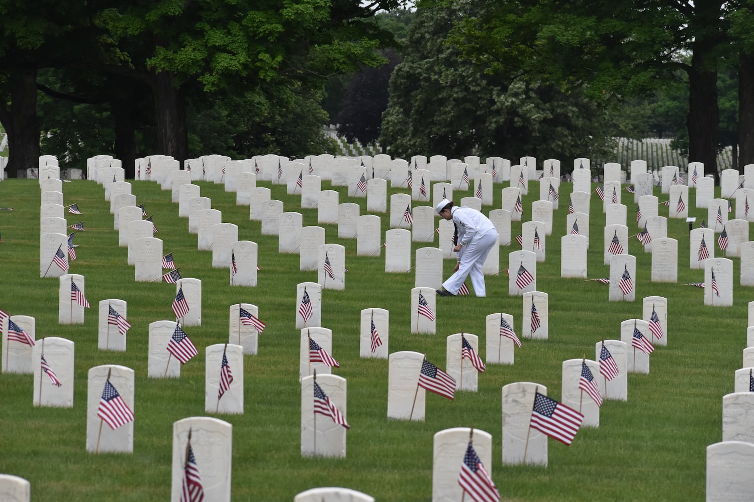 ODDN 052824 Memorial standalone