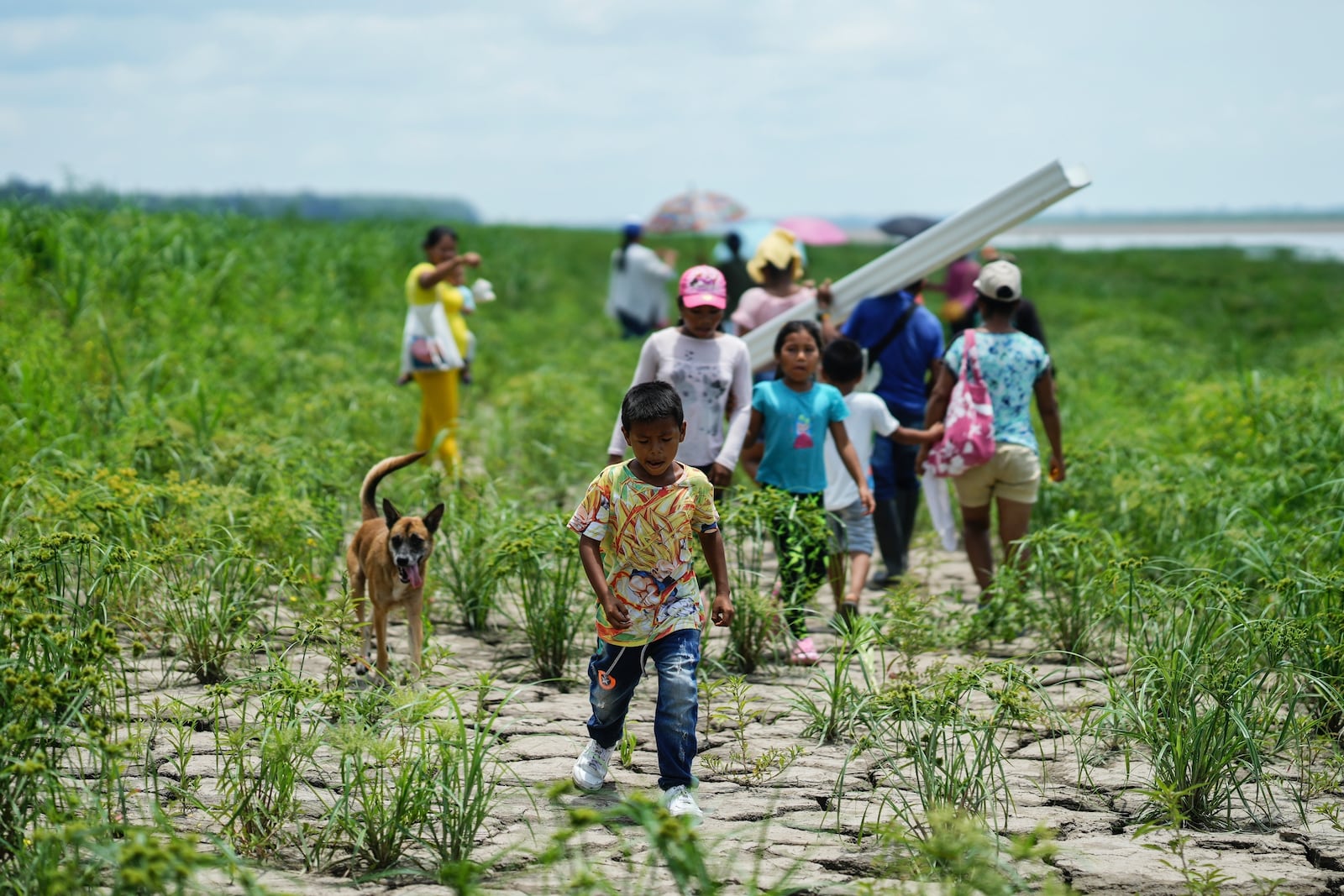 FILE - People from the Tikuna Indigenous community walk to receive aid from an NGO amid a drought near the Amazon River in Loma Linda, on the outskirts of Leticia, Colombia, Oct. 20, 2024. (AP Photo/Ivan Valencia, File)