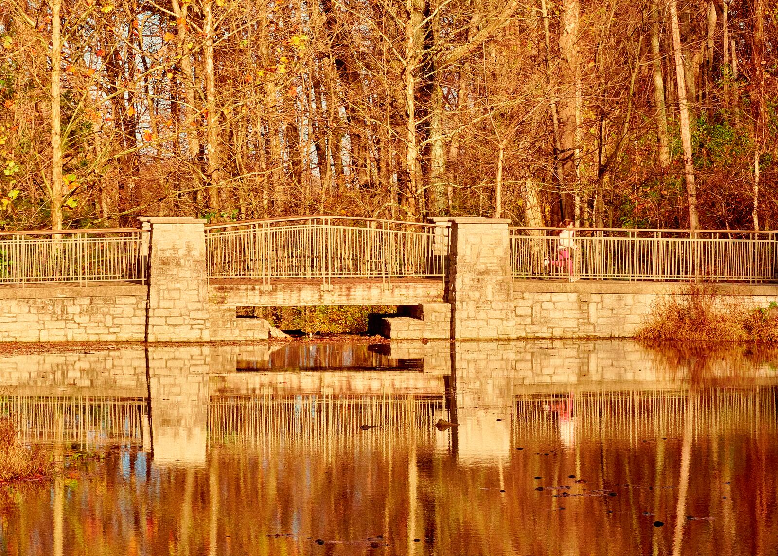 Dogwood Pond at Hills & Dales MetroPark is an ideal spot to enjoy fall color. CONTRIBUTED