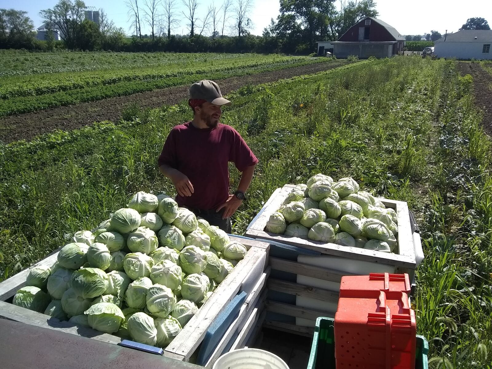 Patchwork Gardens, 9057 W. 3rd St., Dayton, has a growing community-supported agriculture program. CONTRIBUTED