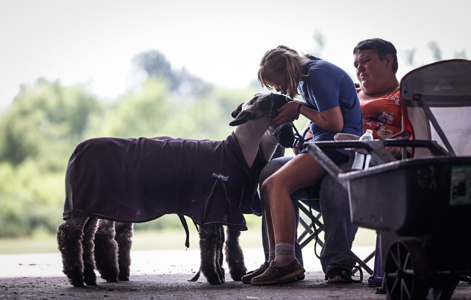 Jovee Grilliot, from Germantown kisses her sheep Gretchen at the Montgomery County Fair Monday July 8, 2024. Jovee's mom, Stacey is in the background. Jovee has two sheep in the fair she said she named them after characters in the movie The Mean Girls. JIM NOELKER/STAFF