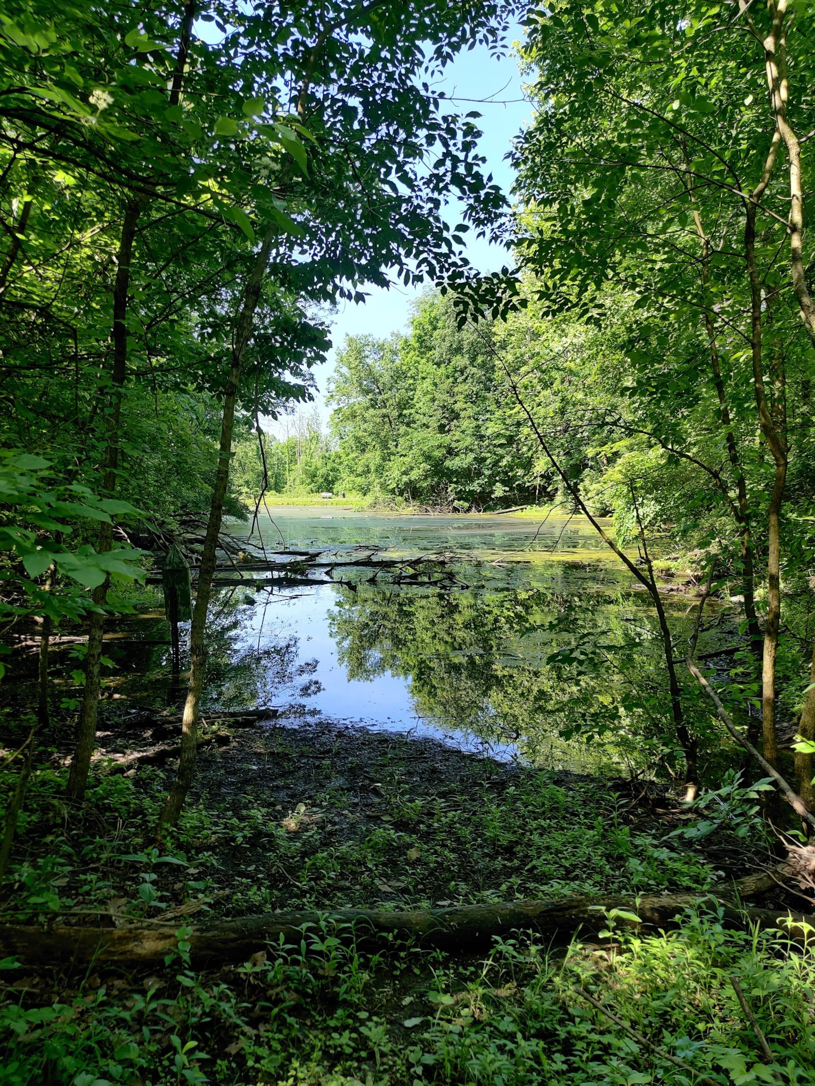 Escape from your worries by soaking up nature's beauty at Carriage Hill MetroPark. CONTRIBUTED