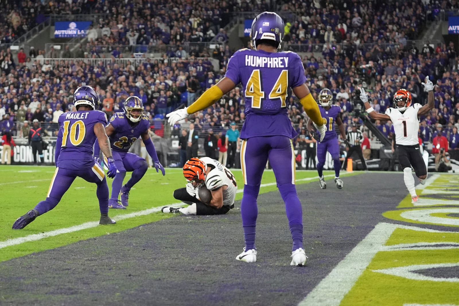 Cincinnati Bengals tight end Tanner Hudson (87) scores a touchdown as Baltimore Ravens cornerback Arthur Maulet (10), linebacker Trenton Simpson (23), and cornerback Marlon Humphrey (44) look on during the first half of an NFL football game, Thursday, Nov. 7, 2024, in Baltimore. Cincinnati Bengals wide receiver Ja'Marr Chase (1) celebrates. (AP Photo/Stephanie Scarbrough)