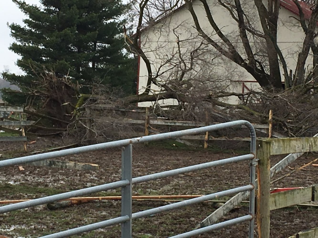 Arcanum Tornado Damage - Trees