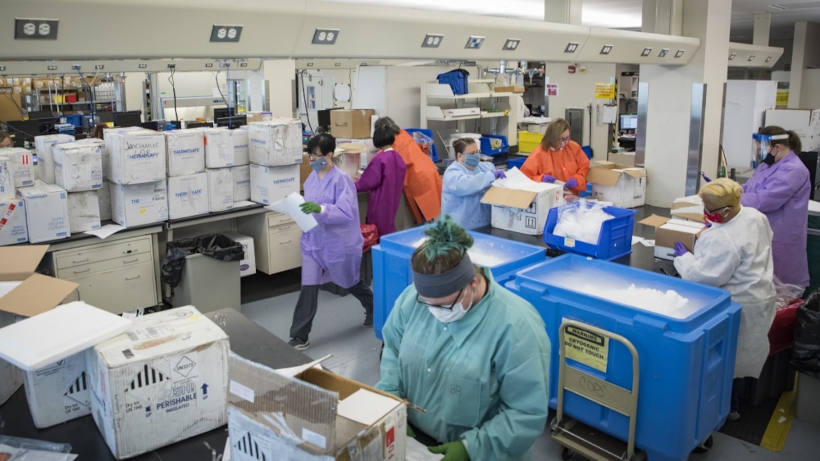 Medical laboratory technicians in the United States Air Force School of Aerospace Medicine’s Epidemiology Laboratory unload new shipments of potential COVID-19 samples sent from military treatment facilities around the world in June. The Epi Lab is the sole clinical reference lab in the Air Force, and USAFSAM is part of AFRL’s 711th Human Performance Wing headquartered at Wright-Patterson Air Force Base. (U.S. Air Force photo by Richard Eldridge)