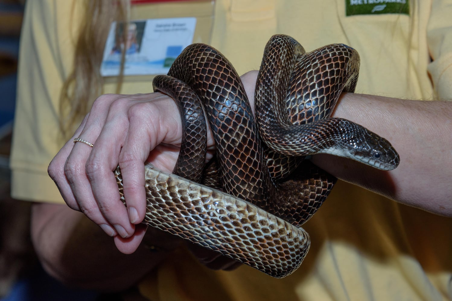 PHOTOS: Did we spot you at the Adventure Summit at Wright State University?