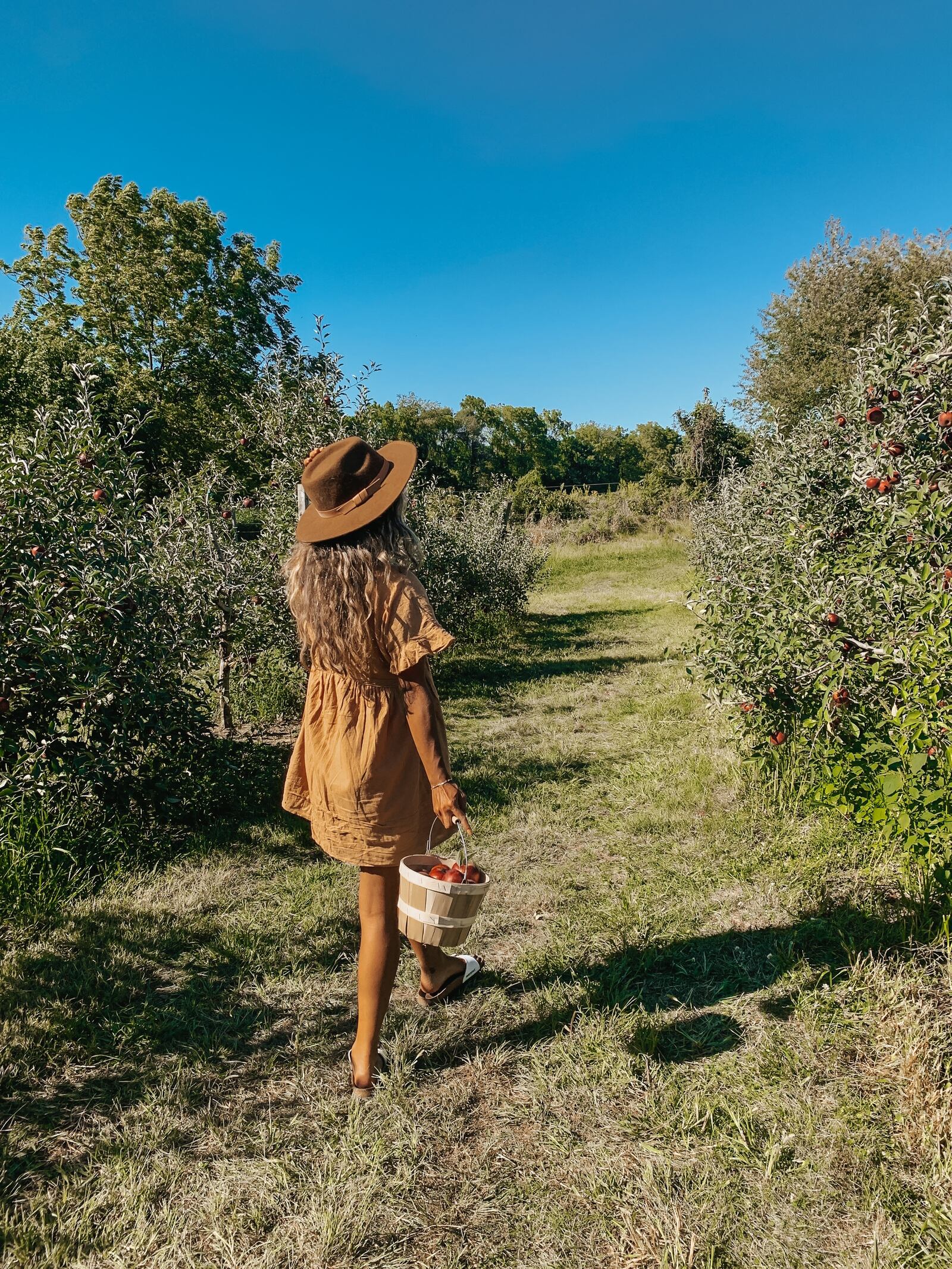 Sunny fall days are the perfect time for apple picking. CONTRIBUTED