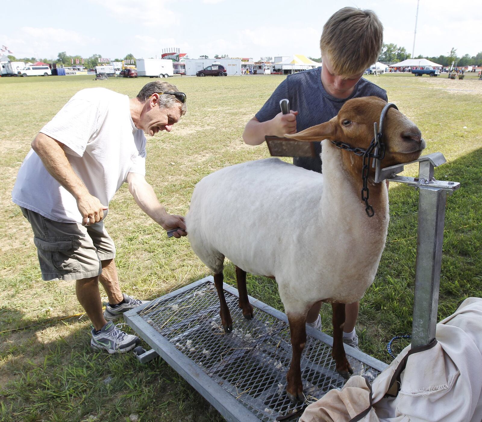 Todd Brisco, left, helps David Blasingame groom his Tunis sheep named Laney during opening day at the Montgomery County Fair’s new location in Jefferson Twp. TY GREENLEES / STAFF