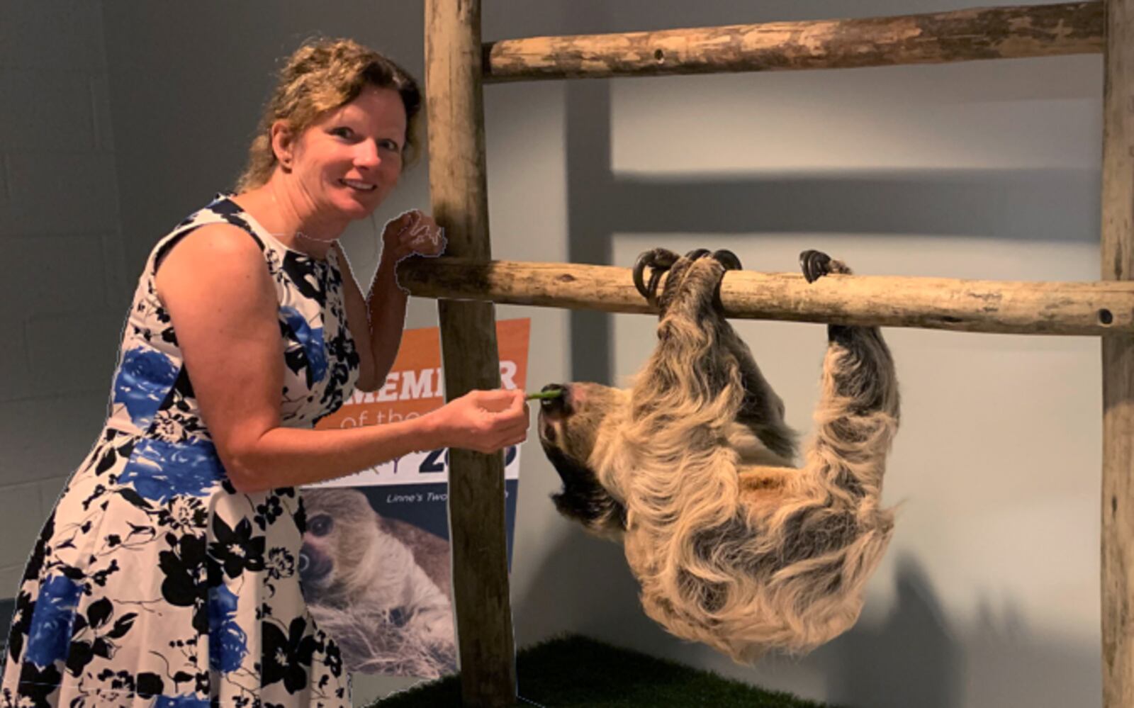 Tracey Tomme, president and CEO of the Dayton Society of Natural History, with a sloth at the Boonshoft Museum of Discovery. CONTRIBUTED PHOTO