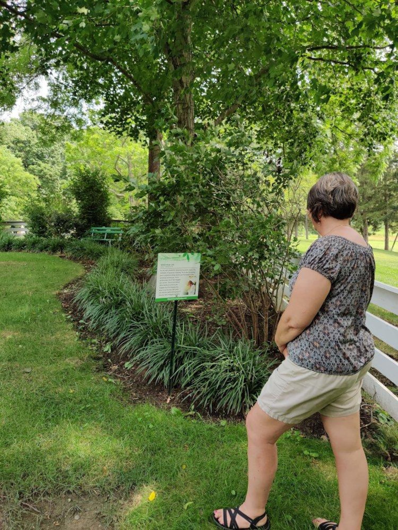 The Mindfulness Trail at Lost Creek Reserve is an ideal place to relax and refresh. CONTRIBUTED